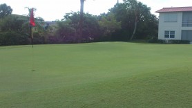 Penterra and Carbotein work on the Bermuda 419 and Dwarf Bermuda 328 grass to yield visible results in two or three days for Superintendent Matt Lean of Monterey Yacht and Country Club, built in 1970, in Stuart, Florida.