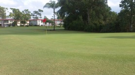 Penterra and Carbotein yielded visible results in days at Monterey Yacht & Country Club, reports Superintendent Matt Lean