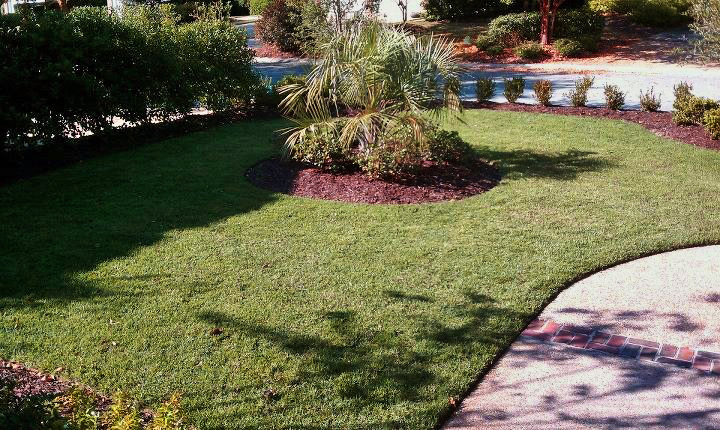 Endurant Turf Paint on Zoysia Grass www.TurfPaint.net