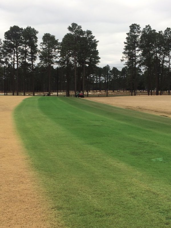 Demo at Pinehurst shows off Endurant TC on the golf course
