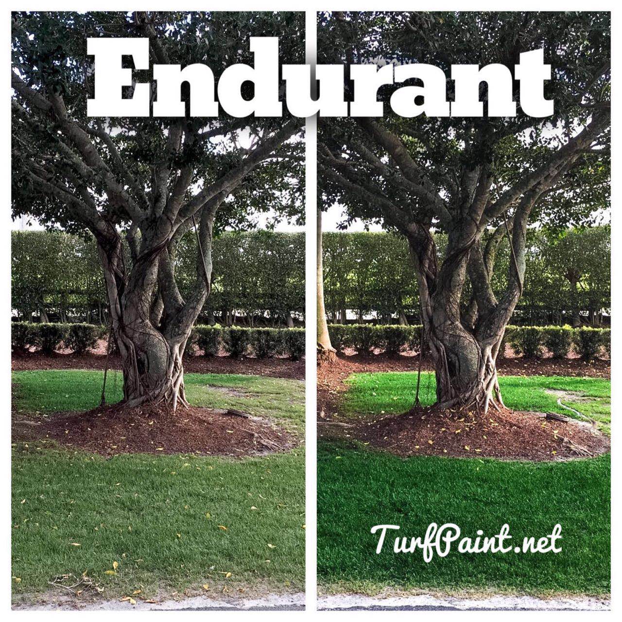 Endurant Premium Geoponics Corp