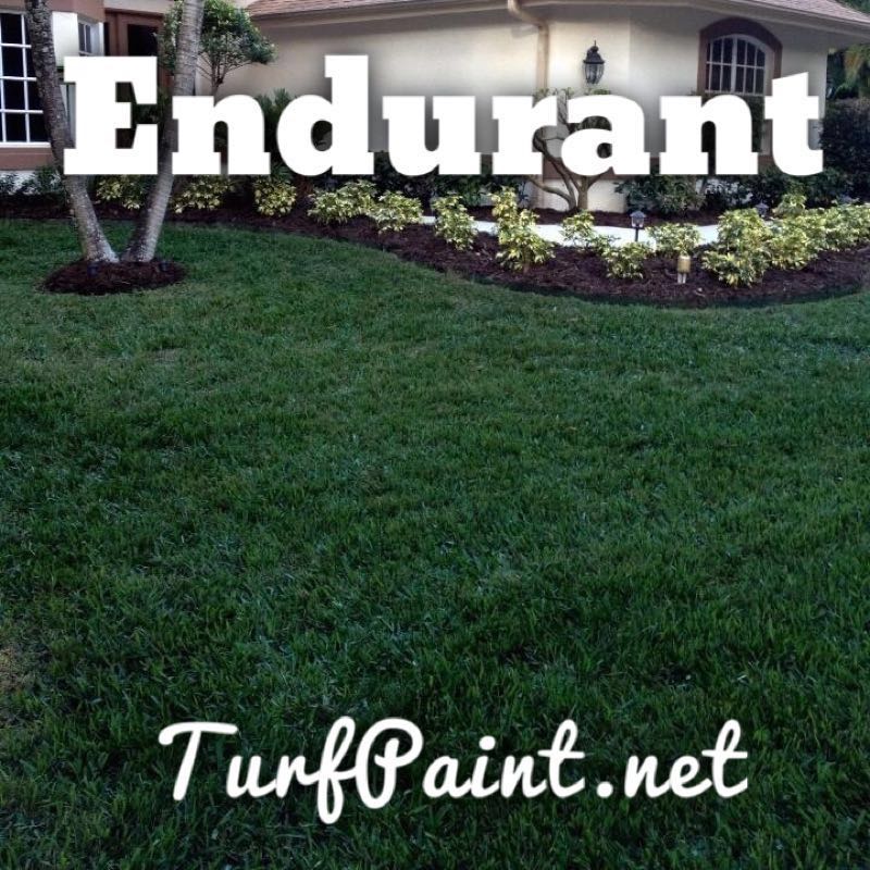 Endurant Fairway Geoponics Corp