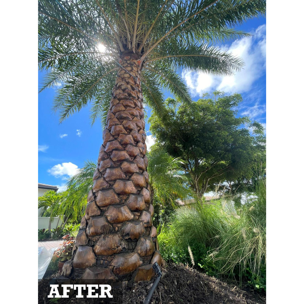 Palm Colorant - Geoponics Corp