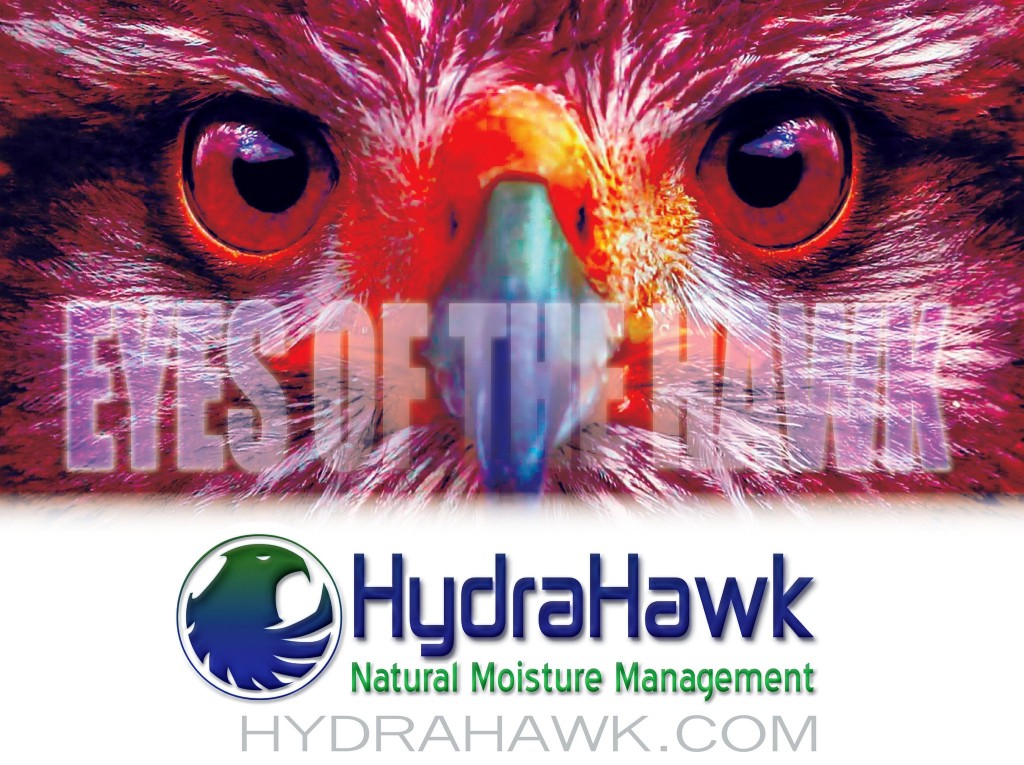 Hydrahawk