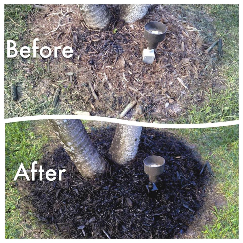 Before and After of Endurant turf paint on mulch Before and After of Endurant turf paint on mulch