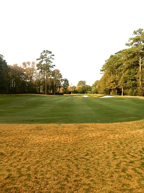 Endurant Turf Colorant: The USGA recommends turf colorant versus overseed.