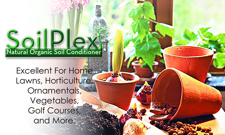 SoilPlex soil conditioner is OMRI listed for organic growing and provides benefits of humic acid and fulvic acids