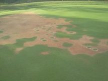 LDS Localized Dry Spot and wetting agents